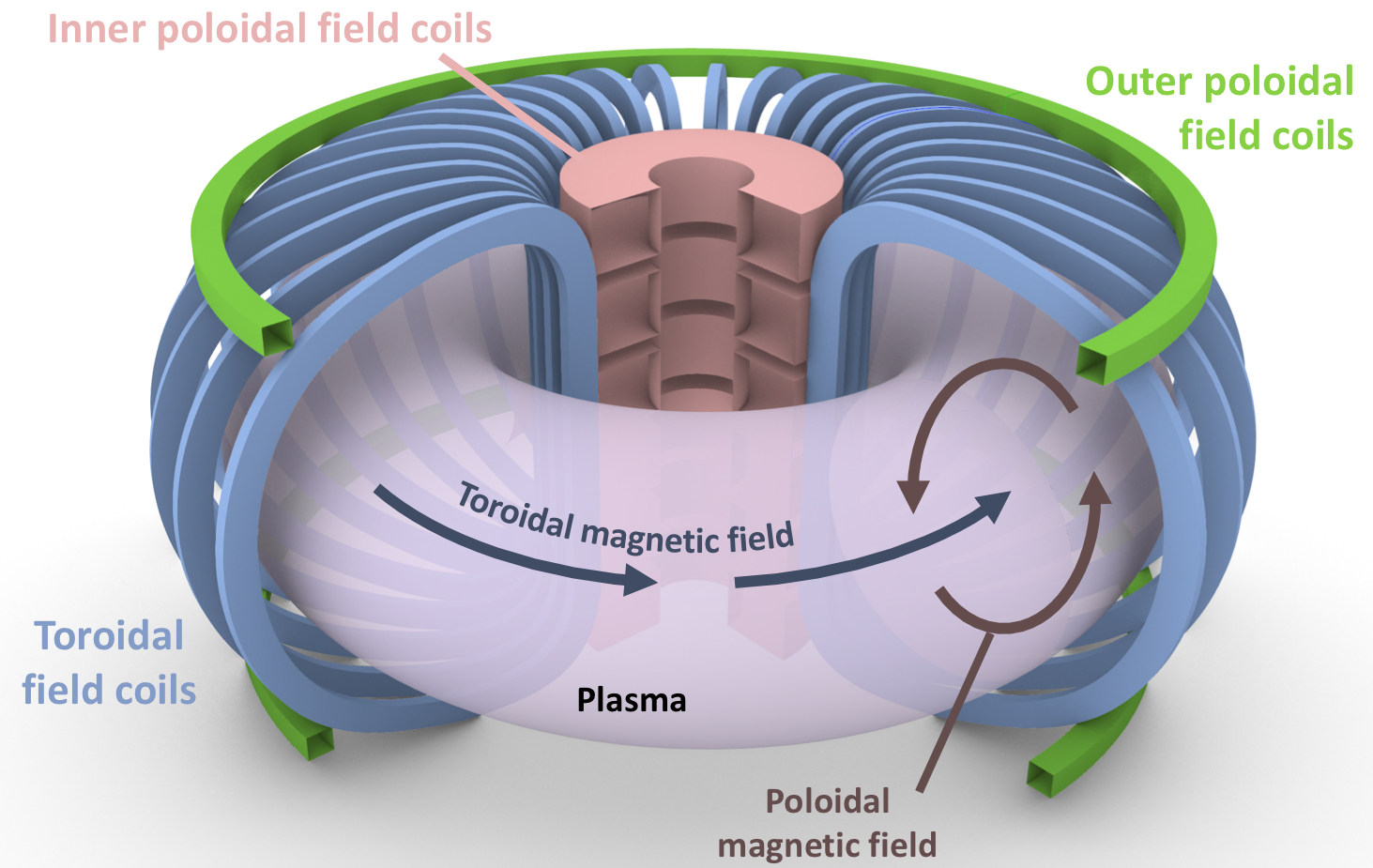 Tokamak Cartoon